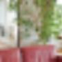 Solskin Restaurant Hotel Café