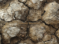 Johnny Beerens