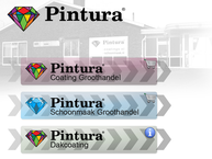Website van Pintura Coatings B.v. 