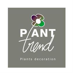 Plant Trend 2009 B.v.