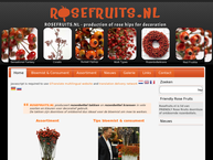 Stokman Rozen BV