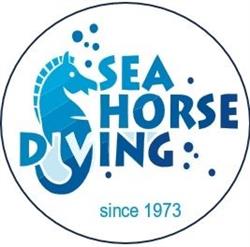 Seahorse Diving