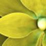 Simmons & Simmons LLP Advocaten Notarissen Belastingadviseurs
