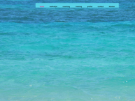 Website van You Bloom Training & Loopbaancoaching 