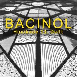 Bacinol B.v.