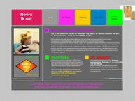 Website van C&E Partners 