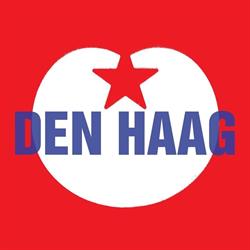 Stichting Ondersteuning Sp Fractie Den Haag