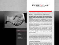 Pureaudit B.v.