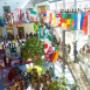 International School of The Hague Secondary
