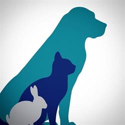 Dierenkliniek Thorbeckelaan