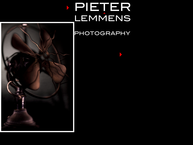 Lemmensphoto