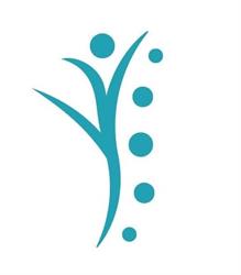 Fysiotherapie De Dreef