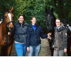 Manege de Wildhoef B.v.