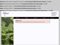 2fifty4 Webprojects