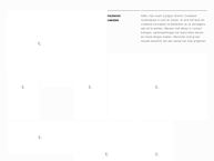 Website van Conquisto 