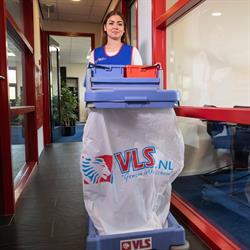VLS