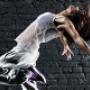 Dance Masters Wildschut