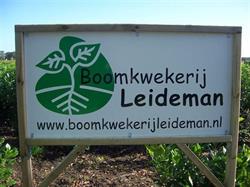 Boomkwekerij Leideman