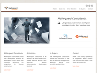 Mollergaard Consultants