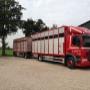 Groot Veetransportbedrijf N G de