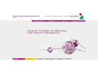 Beusen Software Solutions Nederland B.v.