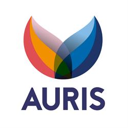 Koninklijke Auris Groep