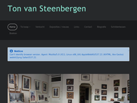 Ton van Steenbergen