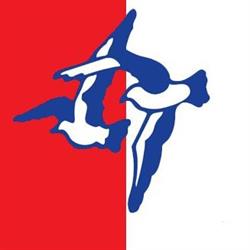 Korfbalvereniging IJsselvogels