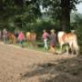 DCpaardencoaching
