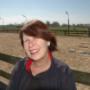 DCpaardencoaching