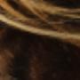 DCpaardencoaching