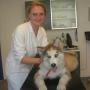 Moens Dierenarts M N J