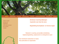 Brinkman Loopbaancoaching