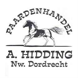 Paardenhandel A. Hidding