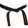 Aikido Musubi de Bollenstreek