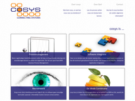 Cosys procesmanag. & systeemintegr.