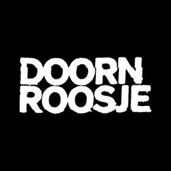 Stichting Doornroosje