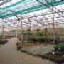 Knuiman Tuincentrum