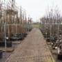 Knuiman Tuincentrum