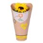 Helianthus - Potzonnebloem - pot 13cm