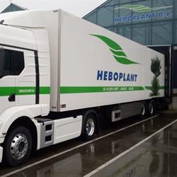 Heboplant
