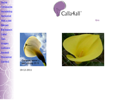 Calla4all B.v.