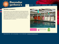 Barendse Gerbera's