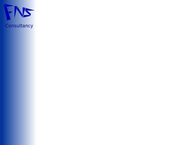 Fns Consultancy B.v.