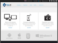 Website van User.nl Marketing, Concepts & Software Engineering B.v. 