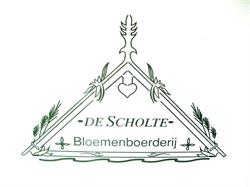 VOF De Scholte