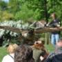 Demonstratie