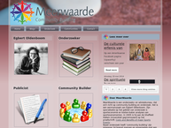 Meerwaarde Onderzoeksadvies