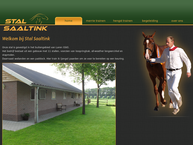 Stal Saaltink