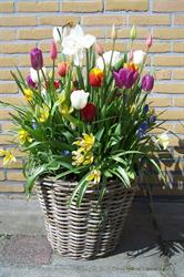 V.o.f. Van Oostwaard